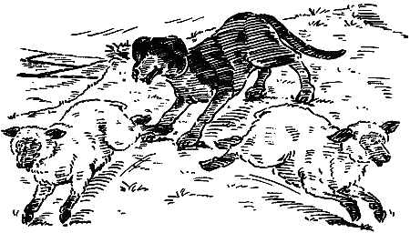 Рыжая беглянка - i_013.png