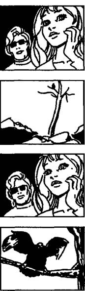 Грамматика киноязыка - _144.jpg