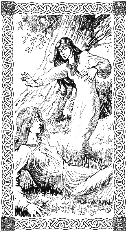 Ночь богов. Книга 1: Гроза над полем - g2.png