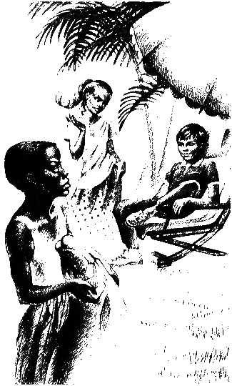 Трое на острове (с иллюстрациями) - g2.png