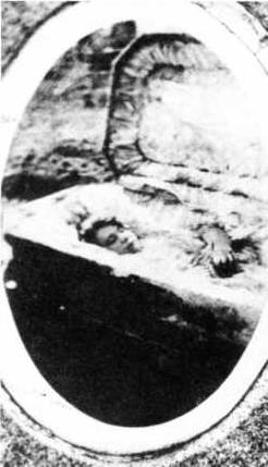 Книга вампиров - i_045.jpg