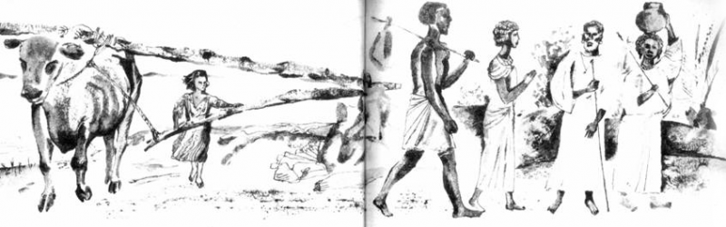 Роковая строка Памеджаи - pic_3.png