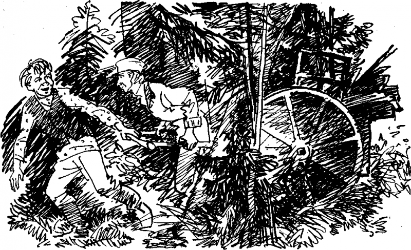 Робинзон в русском лесу - doc2fb_image_03000003.png