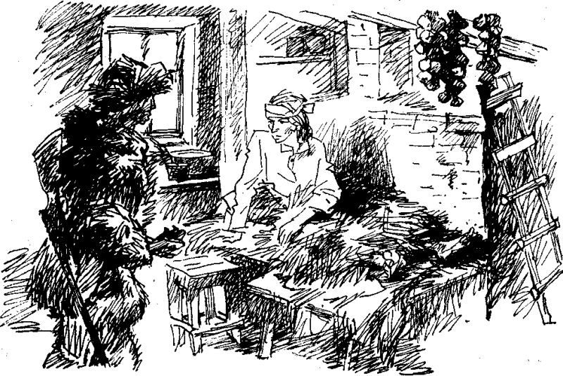 Робинзон в русском лесу - doc2fb_image_03000009.png