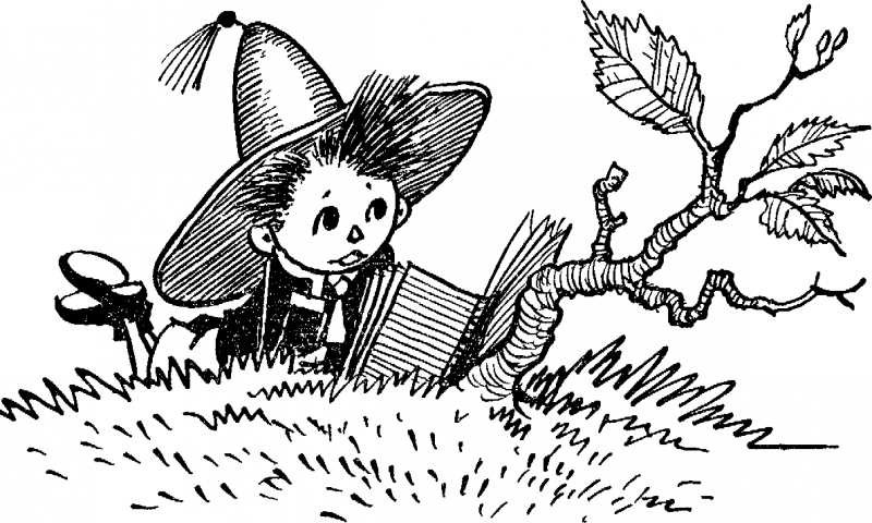 Незнайка в Солнечном городе (ил. Г.Валька ч-б) - doc2fb_image_03000002.png