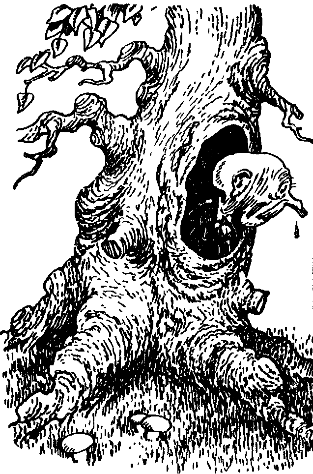 Незнайка на Луне (ил. Г.Валька ч-б) - doc2fb_image_0300007D.png