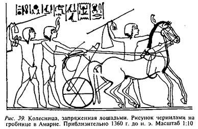 Египтяне. Великие строители пирамид - image44.jpg