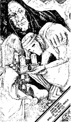 Ведьмы из Эсткарпа - i_007.png