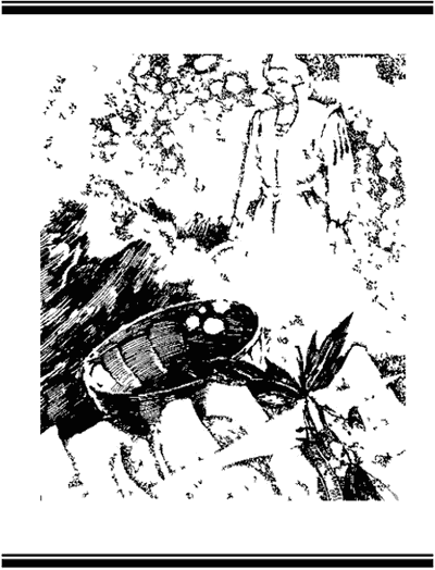 Ведьмы из Эсткарпа - i_008.png