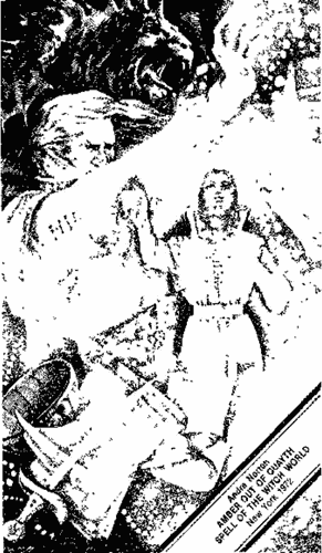 Ведьмы из Эсткарпа - i_009.png