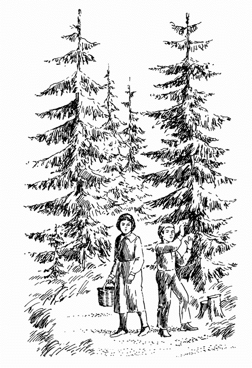 Кладовая солнца. Рассказы о природе - i_006.png