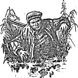 Купол на Кельме - pic_19.jpg