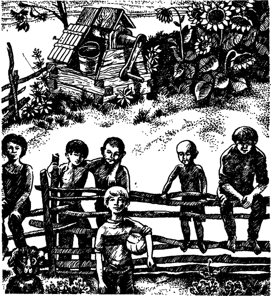 Открытия, войны, странствия адмирал-генералиссимуса и его начальника штаба на воде, на земле и под землей - doc2fb_image_0200000D.png