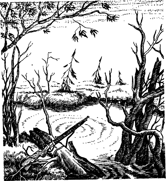 Открытия, войны, странствия адмирал-генералиссимуса и его начальника штаба на воде, на земле и под землей - doc2fb_image_0200000F.png