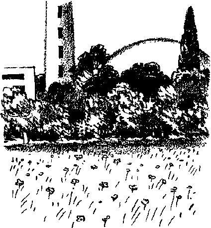 Трансгалантичний розвідник - Untitled10.png