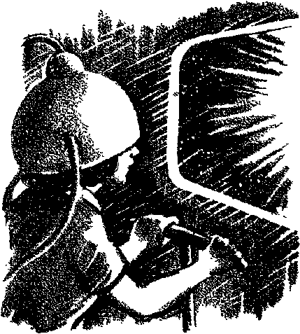 Трансгалантичний розвідник - Untitled9.png