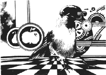 Дзвони зеленої Галактики - Untitled11.png