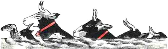 Ни далеко, ни близко, ни высоко, ни низко. Сказки славян. - i_068.jpg