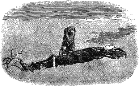 Дрессировка полицейских собак - i_043.png