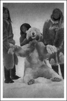 Северный полюс. Южный полюс - i_030.png