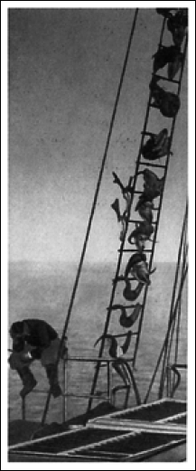 Северный полюс. Южный полюс - i_034.png