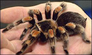 Конкурс на тот свет - i_001.jpg