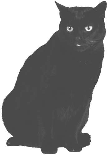 Разведение кошек и собак. Советы профессионалов - i_006.jpg