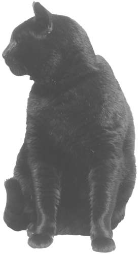 Разведение кошек и собак. Советы профессионалов - i_007.jpg