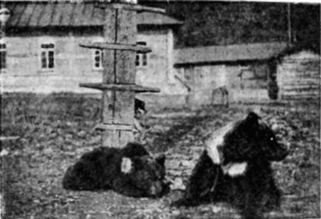 На самолете в Восточной Арктике - i_009.jpg