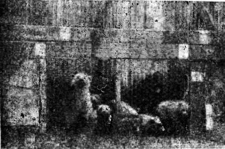 На самолете в Восточной Арктике - i_026.jpg