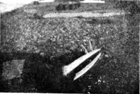 На самолете в Восточной Арктике - i_027.jpg