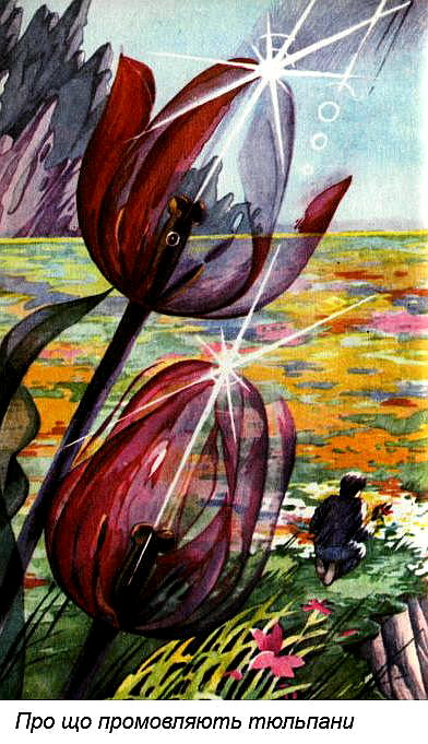 Північна зірка - Wklejka_4