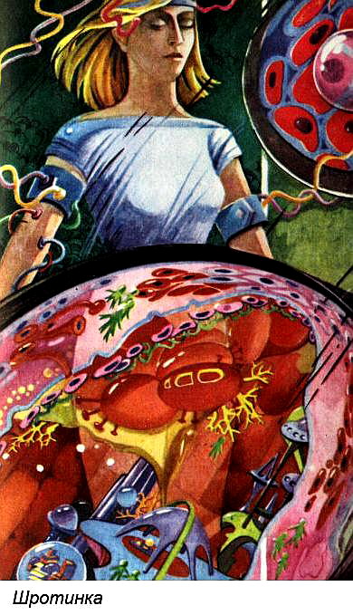 Північна зірка - Wklejka_5