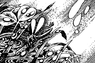 Північна зірка - doc2fb_image_03000009.png