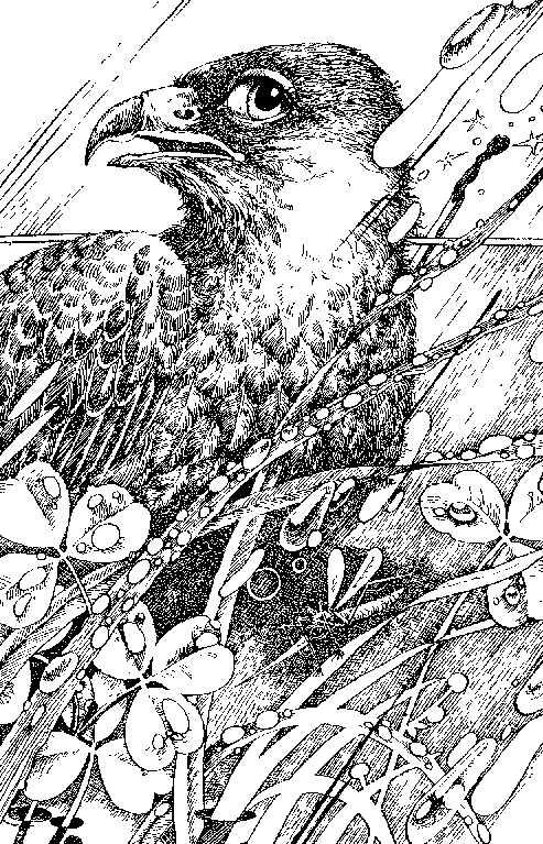 Північна зірка - doc2fb_image_0300000B.png