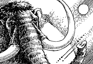 Північна зірка - doc2fb_image_03000014.png