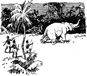 Хойті-Тойті - doc2fb_image_03000007.png