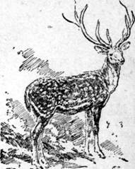 Рожок зовет Богатыря - image007.jpg