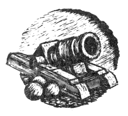 Наградная медаль. В 2-х томах. Том 1 (1701-1917) - bw_04.png