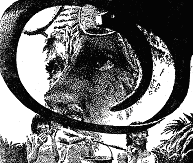 Пригоди. Подорожі. Фантастика - 85 - doc2fb_image_0300001D.png