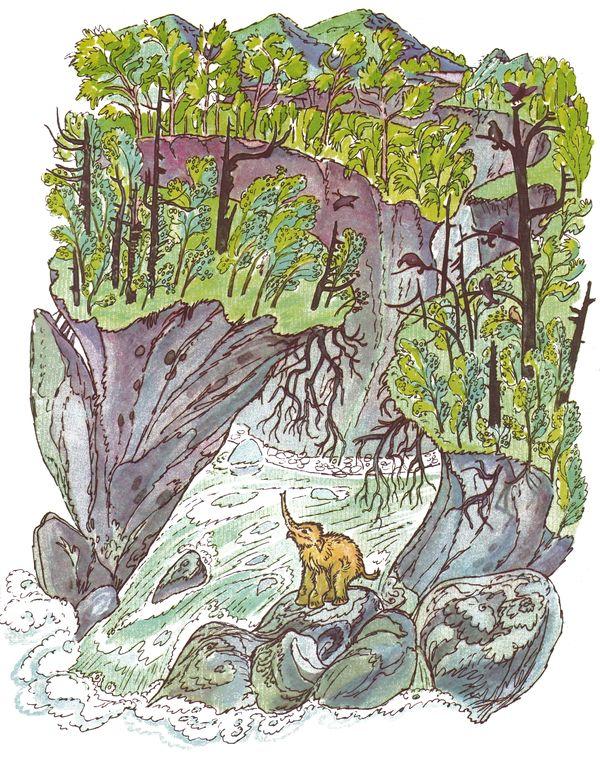 Мамонтёнок Фуф - img_18.jpeg