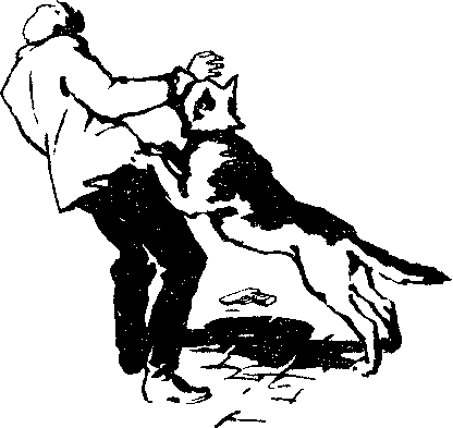 "Веста" не знає пощади - doc2fb_image_03000002.png