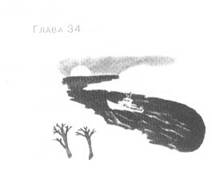 Пруд Белых Лилий - pic_40.jpg