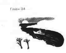 Пруд Белых Лилий - pic_40a.jpg