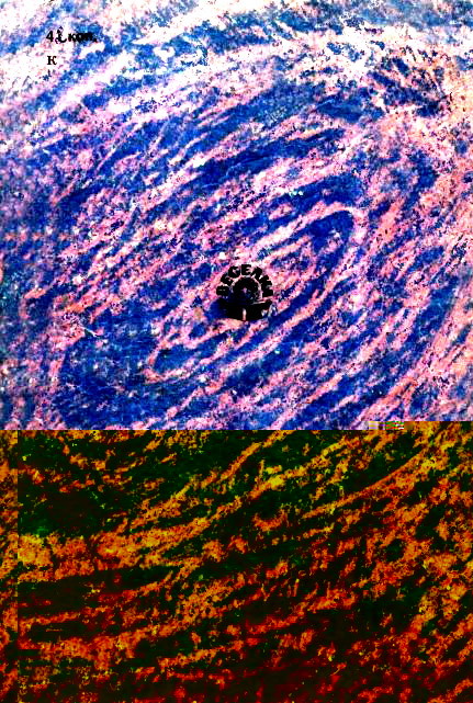 Велика, більша й найбільша - Obkladynka_2