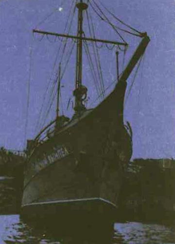 По морям вокруг Земли. Детская морская энциклопедия. Часть III - i_084.jpg