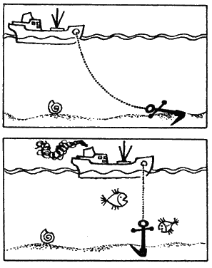 По морям вокруг Земли. Детская морская энциклопедия. Часть III - i_113.png