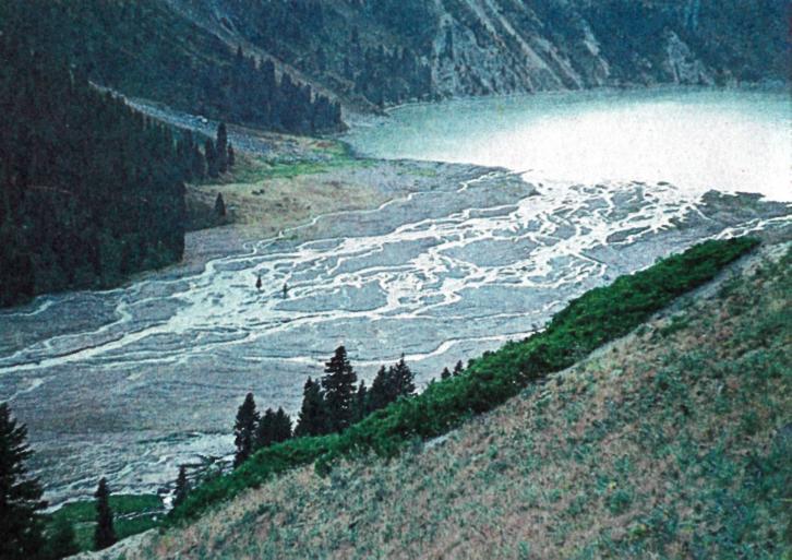 Отшельник высокогорных галечников - img_1.jpeg