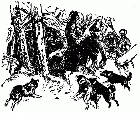 Встречи с животными - img_8.png