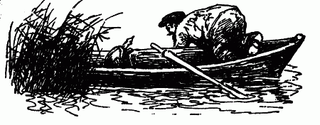 Встречи с животными - img_20.png